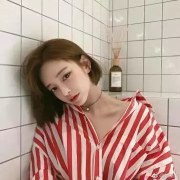 家庭档案